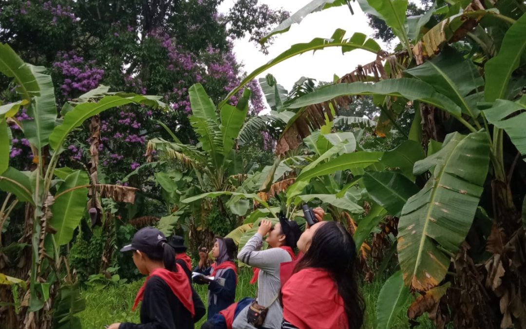 Hitam Putih Taman Nasional Meru Betiri